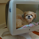 Illustration for article titled This Old CRT Monitor Is A Cute Dog's Bed